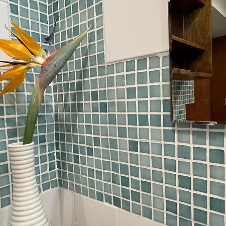 Apartment Birbantes 21 *