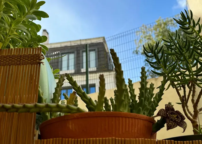 Birbantes 21 * Lisboa