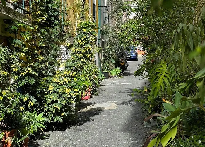 Birbantes 21 Appartement *